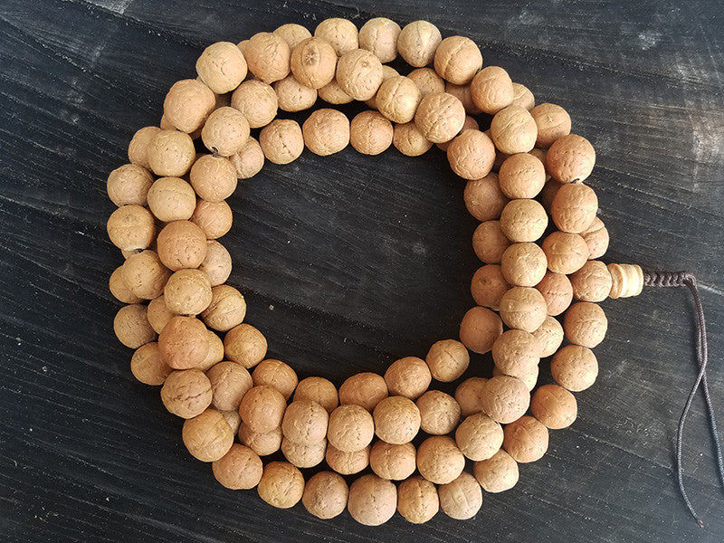 Western Sages] 108 Bodhi Seed Mala Beads, 100% Natural Bodhi Seeds,  Authentic Korean Purified Bodhi Seed Beads 천은사 보리수 염주 (8mm) : :  Office Products